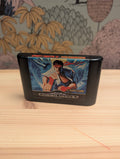 Street Fighter II Special Champion Edition_1 - Sega Mega Drive - Tested & Working