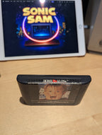 Home Alone - Sega Mega Drive - Cartridge Only